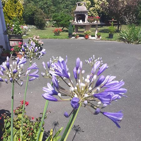 Beaulieu-sur-Sonnette Les Hirondelles Du Paradis 6 Rue Des Oiseaux B&B 외부 사진